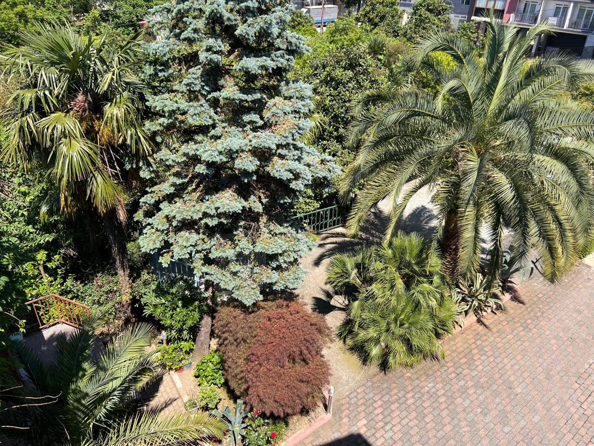 Irakli Guest House Makhinjauri Exterior foto
